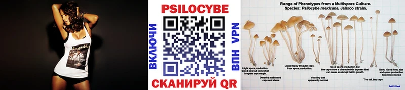 сколько стоит  Десногорск  Галлюциногенные грибы Cubensis 